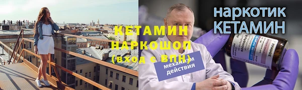 прущие грибы Абаза