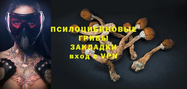 прущие грибы Абаза