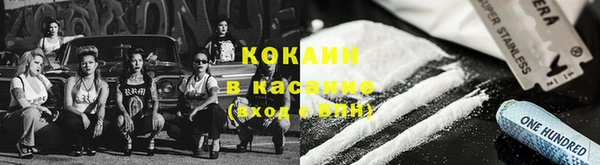 прущие грибы Абаза