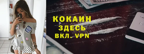прущие грибы Абаза