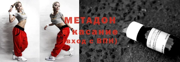 прущие грибы Абаза