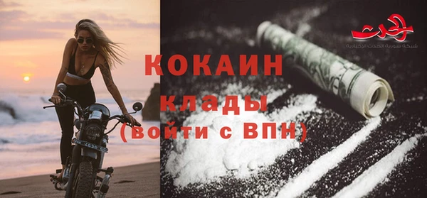 прущие грибы Абаза