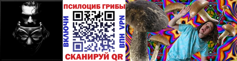 Псилоцибиновые грибы прущие грибы  Сухиничи 